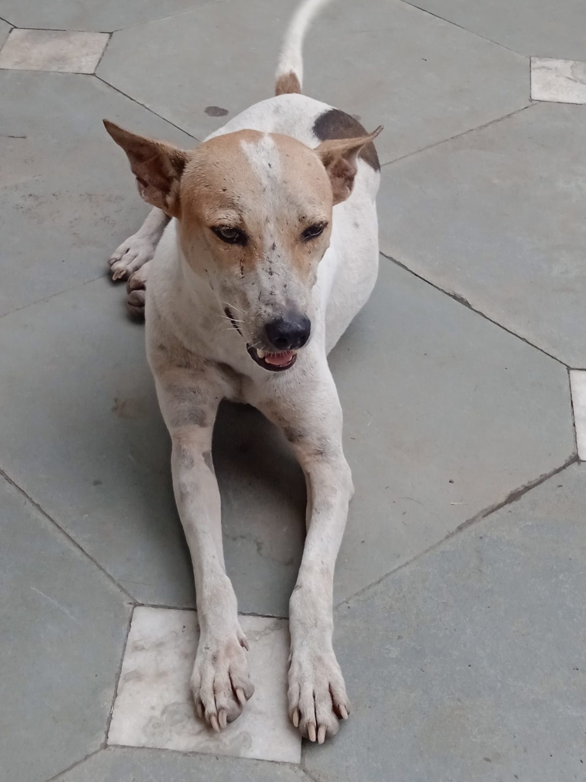 Brahmand Vinashak